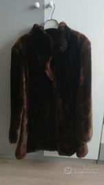 pelliccia in castoro