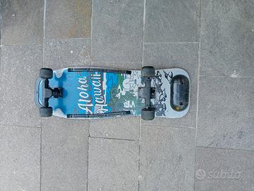 Skateboard Vintage Hawaii