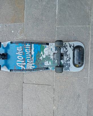 Skateboard Vintage Hawaii