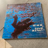 Vinile 33 giri
