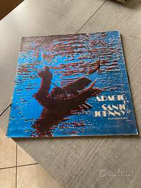 Vinile 33 giri