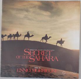 Disco vinile LP 33 giri