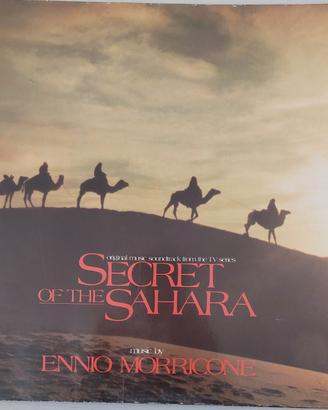 Disco vinile LP 33 giri