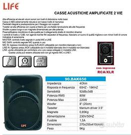 Casse attive LIFE 220 Watt cadauna .
