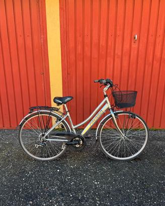 bicicletta