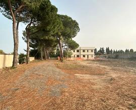 Terreno edificabile a Oristano