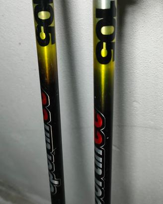 Racchette da sci 105cm