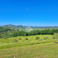 TER. AGRICOLO A TAVOLETO