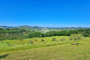 TER. AGRICOLO A TAVOLETO