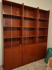 Libreria Olinto di Kazuhide Takahama per Cassina