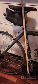 Bianchi carbon