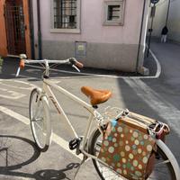Bici donna city bike