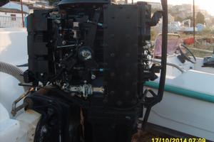 Ricambi Motori fuoribordo Mercury - Evinrude