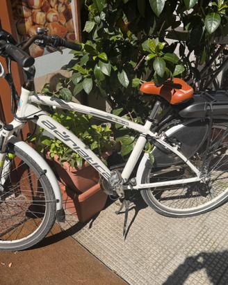 Bici Elettrica