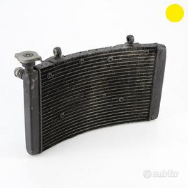 Radiatore acqua BENELLI Tre K 1130