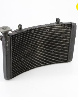Radiatore acqua BENELLI Tre K 1130