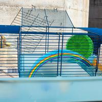 gabbia per criceti