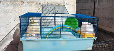 gabbia per criceti