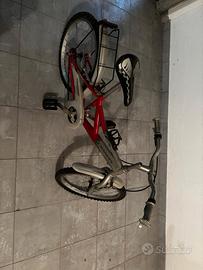 Bici per ragazzi marchio Grandis