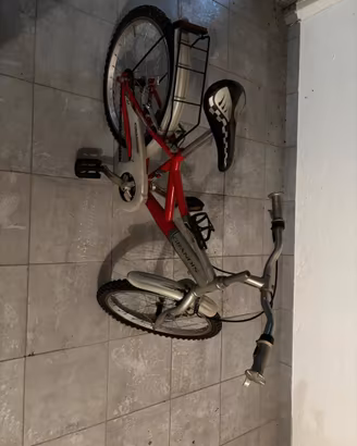 Bici per ragazzi marchio Grandis