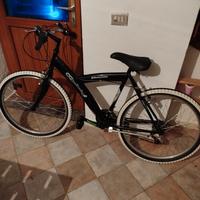 Girardengo Bicicletta Mountain Bike MTB Cambio Shi