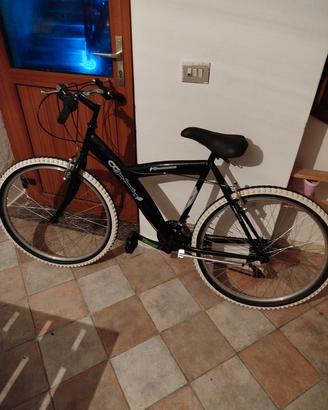 Girardengo Bicicletta Mountain Bike MTB Cambio Shi