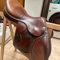 Sella equipe synergy