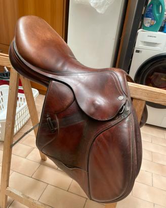 Sella equipe synergy