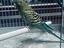 Immagine 3