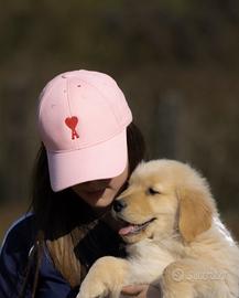 Golden Retriever cuccioli AMAERICANI