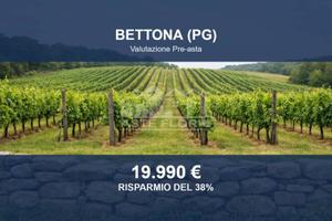 Immobile in asta di 40559 m² a Bettona