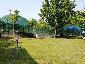 Canile per uso pensione o uso privato