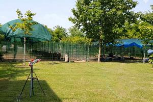 Canile per uso pensione o uso privato