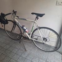 Bici da corsa castagnone
