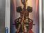 Immagine 1