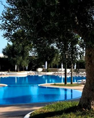 Eurogarden valeria 30 agosto