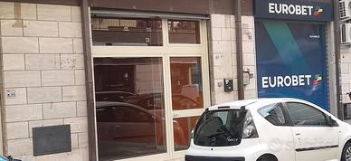 Negozio Brindisi [MDF271ACG]