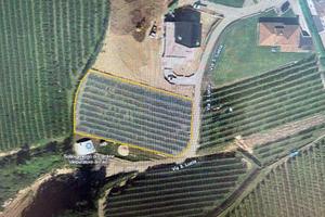 Frutteto coltivato di 2000 mq Dardine