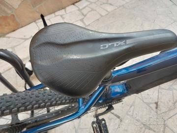 bicicletta ebike