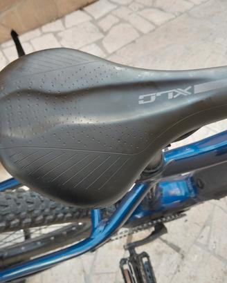 bicicletta ebike