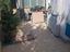 Immagine 21
