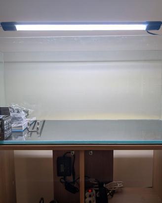 Acquario, Luce e Filtro