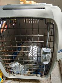 cuccia e trasportino 