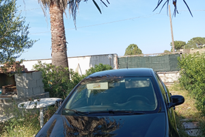 Fiat Bravo 1.6 diesel usato