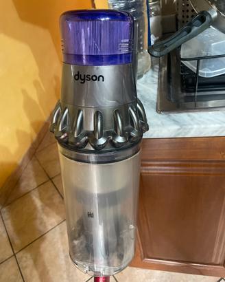 Aspirapolvere dyson outsize absolute