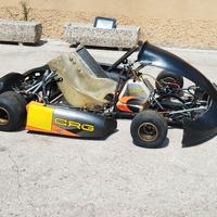 Kart crg Road Rebel 125cc 