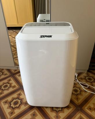 Climatizzatore/deumidificatore portatile 12000 btu