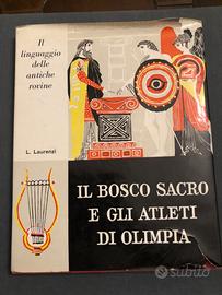 Il bosco sacro e gli atleti di Olimpia L. Laurenzi