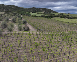 Fondo Rustico in Agro di Rocca Imperiale