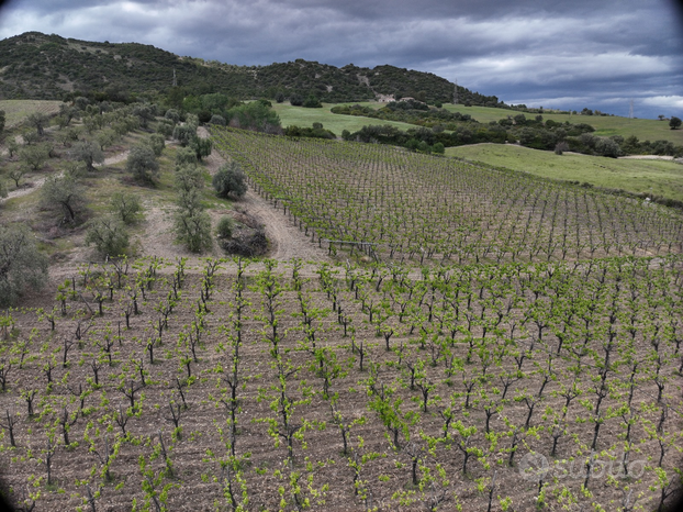 Fondo Rustico in Agro di Rocca Imperiale